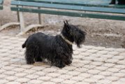 20110320 Tally_001