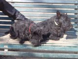 20110322 Gwenda e QB_001