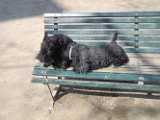 20110322 Gwenda e QB_002
