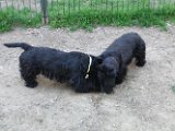 20110325 Gwenda e QB_003
