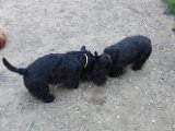 20110325 Gwenda e QB_004