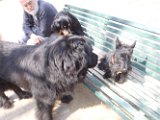 20110331 Gwenda e amici_003