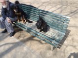 20110331 Gwenda e amici_004