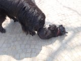 20110331 Gwenda e amici_010