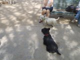 20110408 Gwenda e amici_019