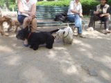 20110408 Gwenda e amici_020