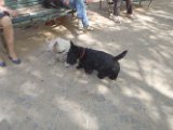 20110408 Gwenda e amici_022