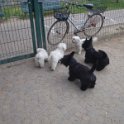 20110502 - Gwenda giardini Ramelli_003