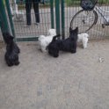 20110502 - Gwenda giardini Ramelli_004