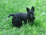 20110619 - Gwenda Parco Forlanini_001