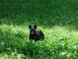 20110619 - Gwenda Parco Forlanini_002