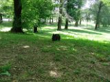 20110619 - Gwenda Parco Forlanini_003