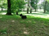 20110619 - Gwenda Parco Forlanini_004