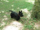 20110619 - Gwenda Parco Forlanini_005