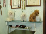 20110729 -Barboni dal Moreno_005