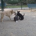 20110923 -Gwenda giardini Ramelli_002