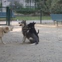 20110923 -Gwenda giardini Ramelli_003
