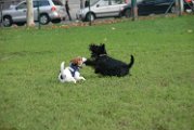20110924 Piazza Piola_001