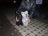 20111023 - Piazza Piola_004