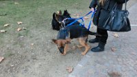 20120118 - Gwendoline_002
