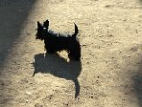 20120125 - Gwendoline_010