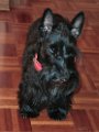 20120126 - Gwendoline_012
