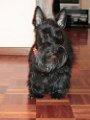 20120126 - Gwendoline_013