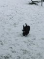 20120201 - Guendoline e la neve_002