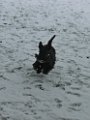 20120201 - Guendoline e la neve_004
