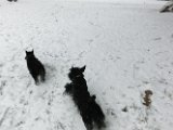 20120201 - Guendoline e la neve_007