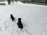 20120201 - Guendoline e la neve_008