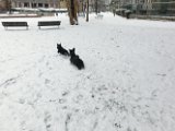 20120201 - Guendoline e la neve_011