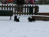 20120201 - Guendoline e la neve_012