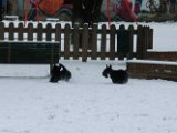 20120201 - Guendoline e la neve_013