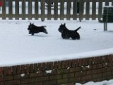 20120201 - Guendoline e la neve_015