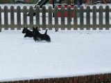 20120201 - Guendoline e la neve_016