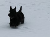 20120201 - Guendoline e la neve_017