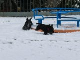 20120201 - Guendoline e la neve_019