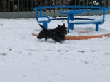 20120201 - Guendoline e la neve_021