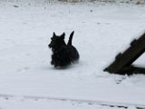20120201 - Guendoline e la neve_022