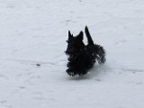 20120201 - Guendoline e la neve_025