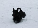 20120201 - Guendoline e la neve_026