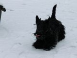 20120201 - Guendoline e la neve_027