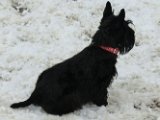 20120202 - Guendoline e la neve_001