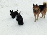 20120202 - Guendoline e la neve_002