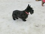 20120202 - Guendoline e la neve_003