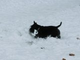 20120202 - Guendoline e la neve_004
