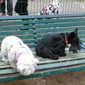 20120304 - Gwenda e Polly ai giardini Ramelli_002