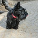 20120308 - Gwenda ai giardini Ramelli_001