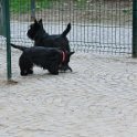 20120308 - Gwenda e QB ai giardini Ramelli_002